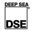 a logo that is an outline of a black square that's filled with white, above the square there is black all caps text that reads 'DEEP SEA'. Within the square, at the bottom of the white, there is the text 'DSE', in black all caps text.